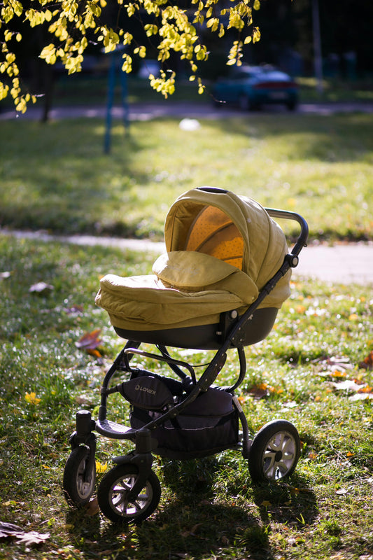 Bassinet Stroller